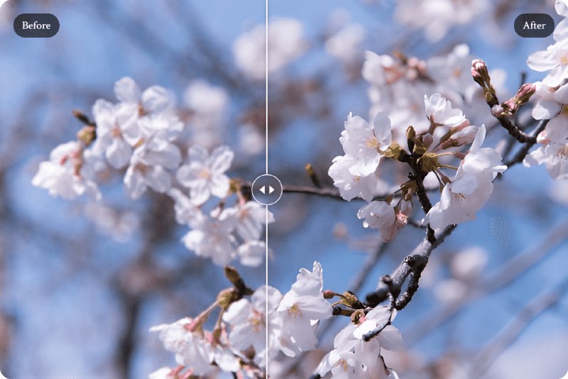 SuperImage – 利用 AI 锐化低分辨率图片#Windows #图片放大 #安卓 #软件SuperImage 是一个基于神经网络的图像放大工具，它使用了 MNN 深度学习框架和 Real-ESRGAN 算法